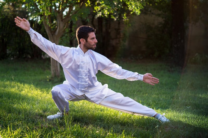 Tai Chi for Wellness