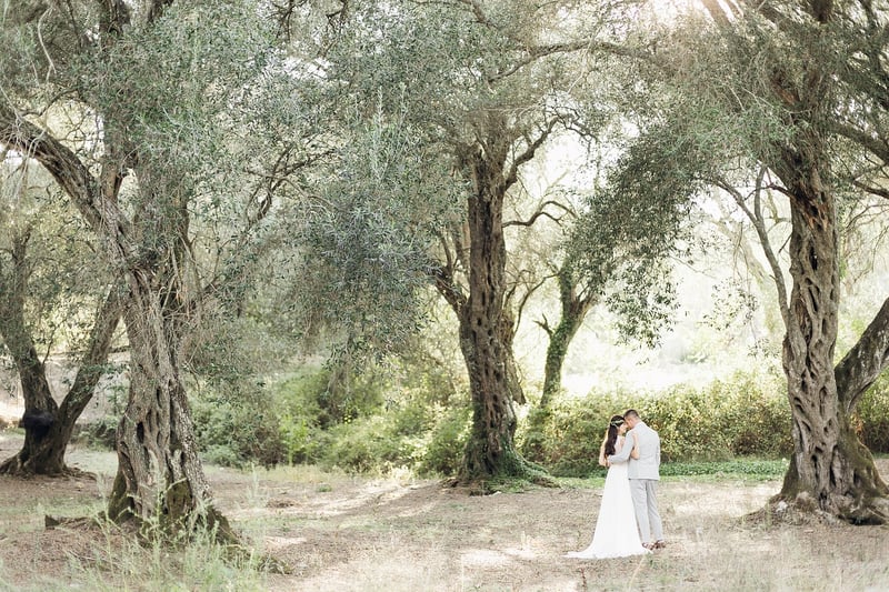 Tree Hugging